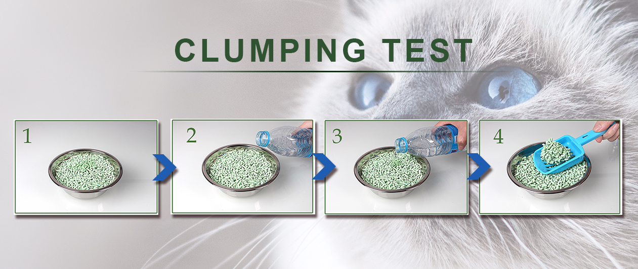 Different kinds of cat litter Green pet care